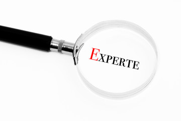 Experte im Fokus
