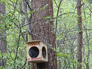 Feeding trough for birds with a touching signature