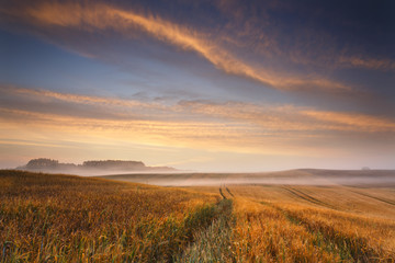 Fototapeta na wymiar Luminous landscape beautiful sunrise on the field. / Misty morning in north Poland