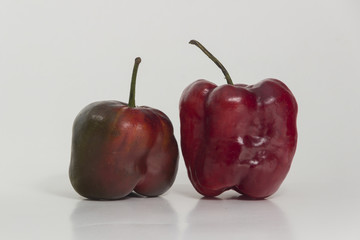 Bodegón de ají Rocoto