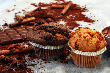 Chocolate muffin and nut muffin, homemade bakery on grey background
