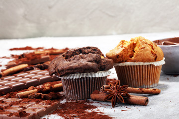 Chocolate muffin and nut muffin, homemade bakery on grey background