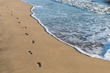 Baby foot prints in the sand on the beach along the coastline.