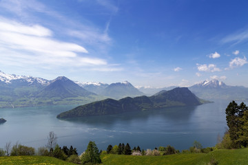 Naklejka na ściany i meble Landscape view of Lucern lake , Apls mountain with grass flower
