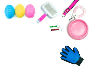 Pet accessories on isolated white.  Bowls,Brush, Collars, Whistle, Nail scissors and rubber toys.