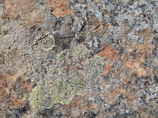 Rock stone surface with lichen and moss. Old dirty stone texture