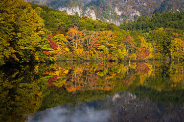 Togakushi's Lake  , Kagami-ike pond in autumn morning