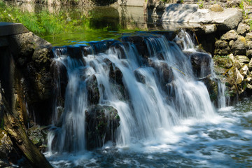 nature