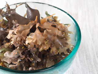 Irish Moss -  Carrageen Moss – Musgo de Irlanda. 

Binomial name: Chondrus Crispus. It is a sea vegetable or edible red seaweed.