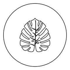 Tropical leaf black icon outline  in circle image