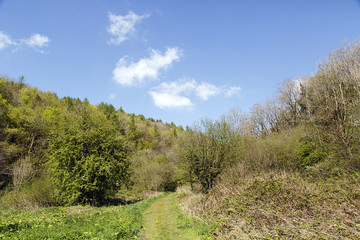 Path through a typical Welsh valley with trees and sunny ble skies - Ilston Valley, Wales