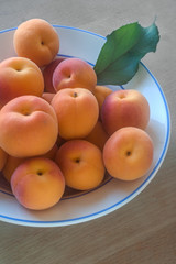 Aprikosen auf einem Teller