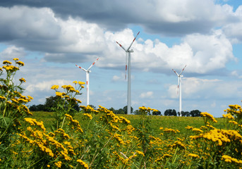 Fields, wind power station and imposing sky in the Lüneburg Heath, Northern Germany.