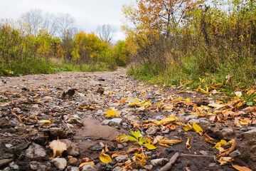 A path in an abandoned autumn Park