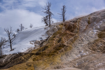 Yellowstone National Park