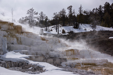 Yellowstone National Park