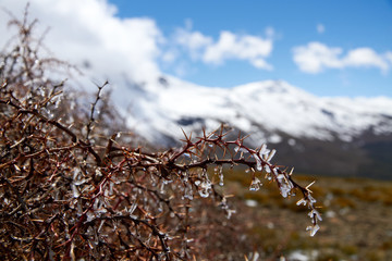 melting ice with mountains in the background