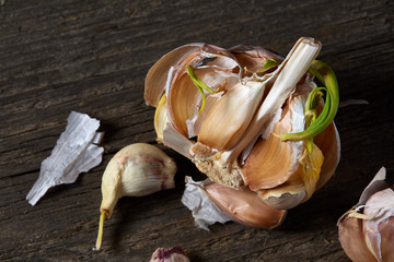 Garlic parts close up on dark black background, shallow depth of field, selective focus, macro