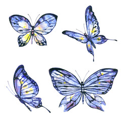 Fototapeta na wymiar beautiful blue butterfly,watercolor,isolated on a white