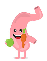 Strong healthy happy stomach character. Vector flat cartoon illustration