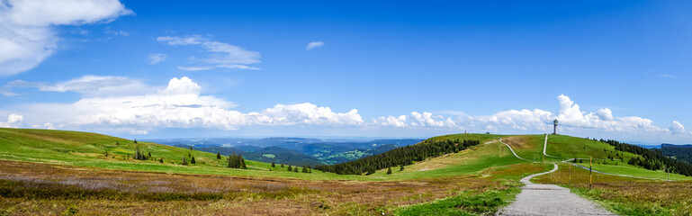 Panoramablick auf dem Feldberg im Schwarzwald - obrazy, fototapety, plakaty