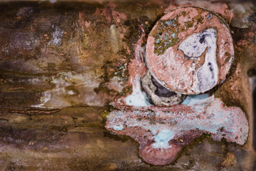 Bolt screwed into a corrosive copper surface. Rusty texture. Background. Template.