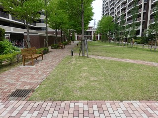庭の風景