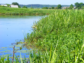 Obraz premium Beautiful ethnic houses on rural landscape, river in Belarus