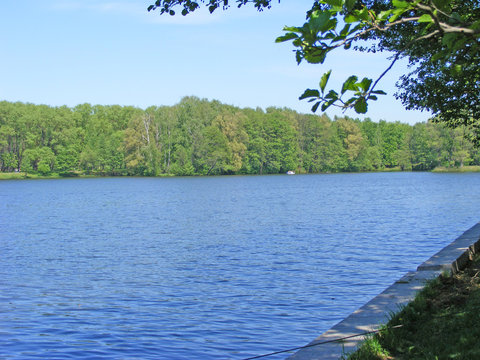 Board of river, the river Svisloch in Minsk