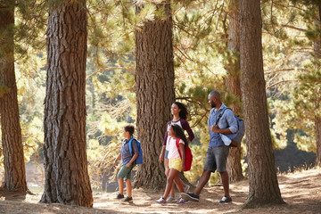 Obraz na płótnie Canvas Family On Hiking Adventure Through Woods By Lake