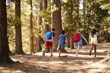 Children Running Along Forest Trail On Hiking Adventure