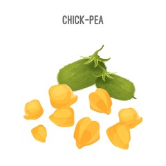 Chick-pea small yellow seeds for fodder and food forage purposes