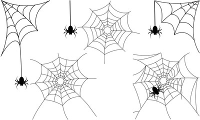 Obraz premium spiderweb