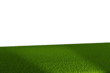 green grass 3d rendering meadow lawn