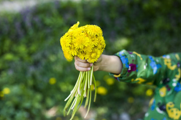 Child's hand holding a floral present to mom. Kid giving a bouquet of bright yellow spring...