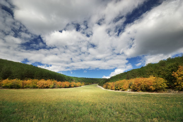 Beautiful spring green hill meadow. Composition of nature.