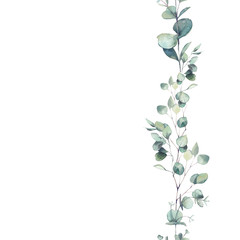 Akwarela ornament gałęzi eukaliptusa. Ręcznie malowane kwiatowy powtarzanej ramki na białym tle. - 207259498