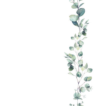 Watercolor eucalyptus branches ornament. Hand painted floral repeating frame isolated on white background.