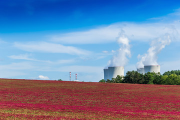 Nuclear power plant Temelin and clover field in Czech Republic. Europe.