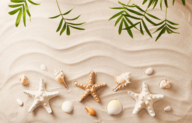 Fototapeta na wymiar Sea shells on sand. Summer beach background