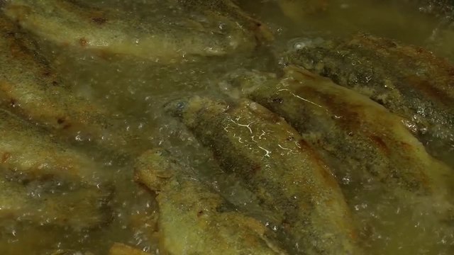 Fish fried in a frying pan until golden brown,Pieces of fresh fish are fried in a frying pan in flour and they are turned with a fork.Chef is cooking fish.