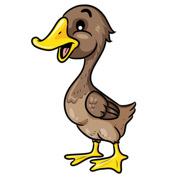 Duck Cartoon Cute 
Illustration of cute cartoon duck.