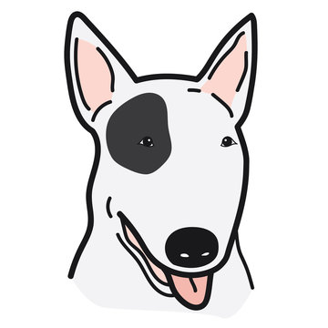 portrait of Bull Terrier dog doodle on White Background,Vector illustration