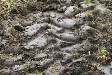 Traktorspuren im Matsch