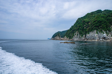 Fototapeta premium SONY DSC