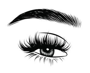 Hand-drawn woman's sexy luxurious eye with perfectly shaped eyebrows and full lashes. Idea for business visit card, typography vector. Perfect salon look.