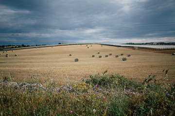 Fototapeta na wymiar Rags of hay in the field in Apulia Italy
