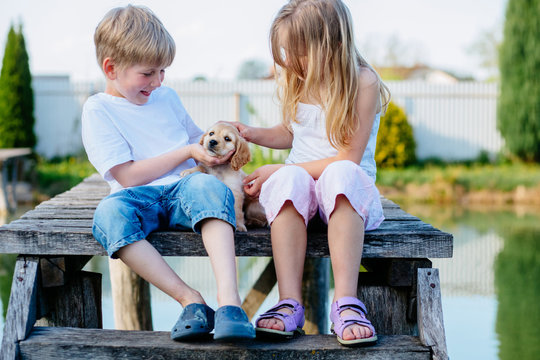 Adorable boy and girl sitting on wooden bridge and stroking their Golden Cocker Spaniel puppy dog near the lake at summer day. Kids and animals friendship concept.