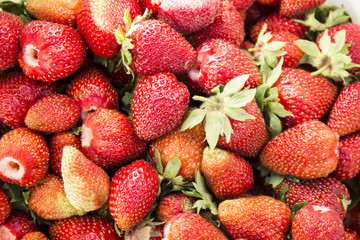 strawberries from the city