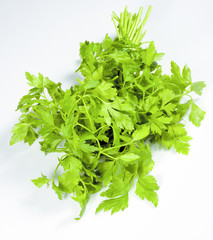 Fresh parsley on white background
